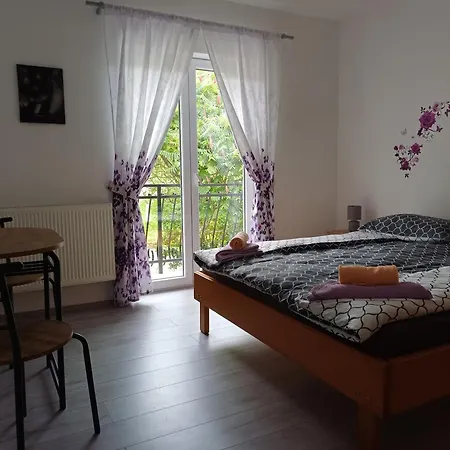 Apartment Apartma Ginga *