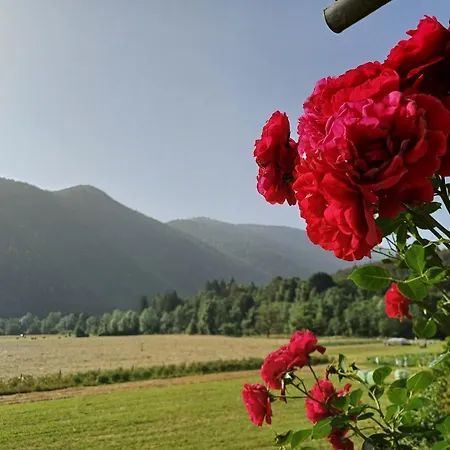 Apartma Ginga Apartment