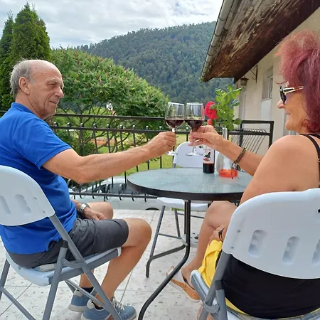 Apartma Ginga Osilnica