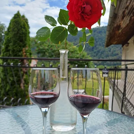 Apartment Apartma Ginga Osilnica