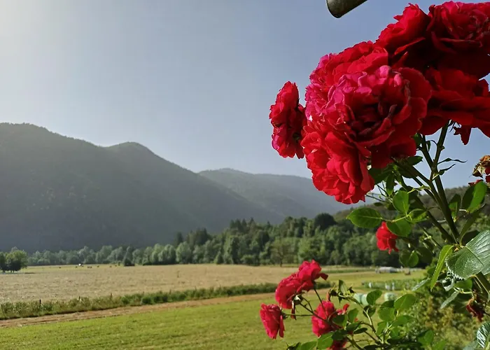 Apartma Ginga 公寓