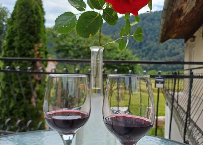 公寓 Apartma Ginga 奥斯尼卡